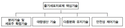 줄기세포 치료제 핵심 기술 (국내 줄기세포 치료제 기술 경쟁력 현황, 2017)