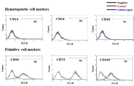 노화 줄기세포의 표면 표지자 활용, 선별가능성 확인