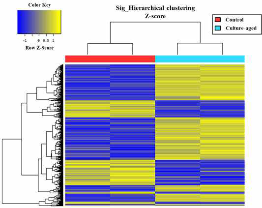 배양 기간별 줄기세포의 transcriptomic heat meap