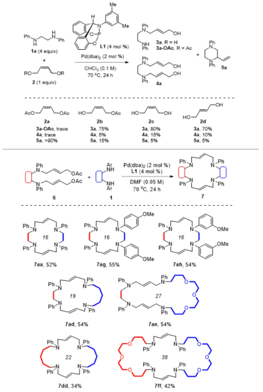 Pd을 촉매로한 신규 매크로 고리 합성 반응 개발