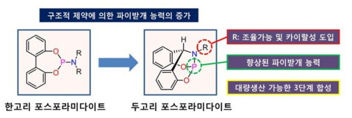 새로운 원리로 설계된 두고리 포스포라미다이트 (Bicyclic phosphoramidite)의 구조 및 특징