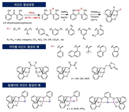 두고리 포스포라미다이트의 합성과정과 제안된 새로운 리간드 구조