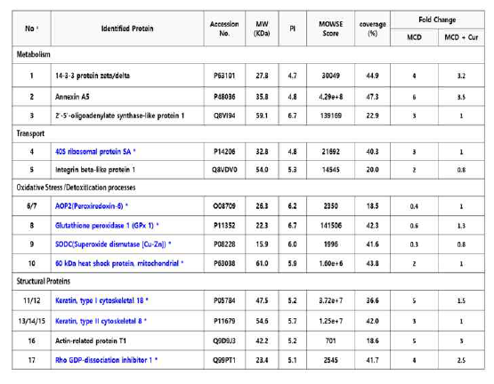 Identified proteins. Spot ID numbers are matched with numbers on gels. Identified from MALDI-TOF, and data were established on the basis of information from Swiss-Prot protein data base. a The identified protein numbers correspond to the 2-DE gel numbers Figure 12. * : indicates O-GlcNAc modifiable protein