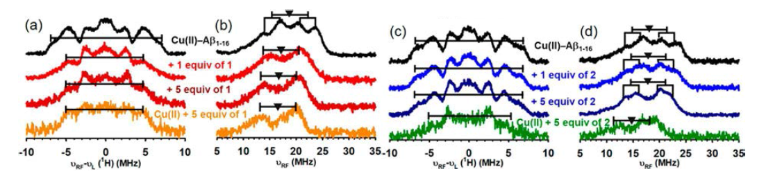 (a) Cu(II)-Aβ1-16 와 1 혼합에 따른 1H 및 (b) 14N ENDOR 스펙트럼 변화. (c) Cu(II)-Aβ1-16 와 2 혼합에 따른 1H 및 (d) 14N ENDOR 스펙트럼 변화