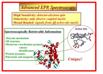 Advanced EPR Spectroscopy의 장점 및 응용성에 대한 개요