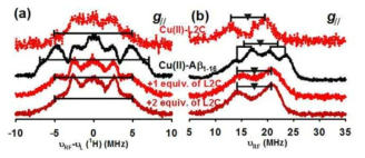 Cu(II)-Aβ1-16 구조체와 저해제를 첨가한 ternary complex의 Davies ENDOR spectra (a) 1H ENDOR of L2C complexes at g//, (b) 14N ENDOR of L2C complexes at g//