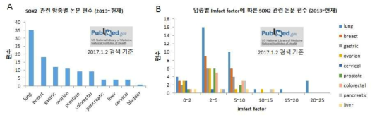 암과 관련한 SOX2 연구관련 논문 현황