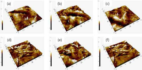 PCL 필름표면에 Ar 플라즈마 전, 후처리와 allylamine 중합에 따른 표면 거칠기 변화 (a, d) 무처리 (Rq 9.172, 8.077nm), (b) Ar 전처리 및 중합 (Rq 6.416nm), (c) Ar 전처리 및 중합 후 DW 세척 (Rq 8.418nm), (e) Ar 전, 후처리 및 중합 (Rq 8.351nm), (f) Ar 전, 후처리 및 중합 후 DW 세척 (Rq 8.245nm)