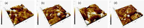 PCL 필름표면에 아르곤 플라즈마 처리에 따른 표면의 거칠기 변화 (a) 무처리 상태 (Rq 2.622nm), (b) 10초 처리 (Rq 8.836nm), (c) 30초 처리 (Rq 2.953nm), (d) 6초 처리 (Rq 7.417nm)