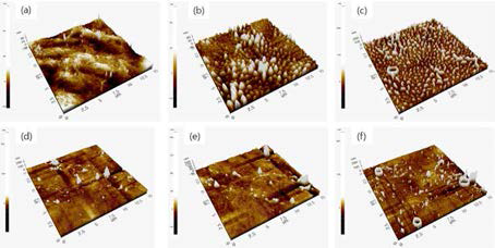 PCL 필름표면에 Ar 플라즈마 전, 후처리와 DACH 중합에 따른 표면의 거칠기 변화 (a, d) 무처리 상태 (Rq 5.345, 14nm), (b) Ar 전처리 및 중합 (Rq 18.252nm), (c) Ar 전처리 및 중합 후 DW 세척 (Rq 28.564nm), (e) Ar 전, 후처리 및 중합 (Rq 13.331nm), (f) Ar 전, 후처리 및 중합 후 DW 세척 (Rq 16nm)