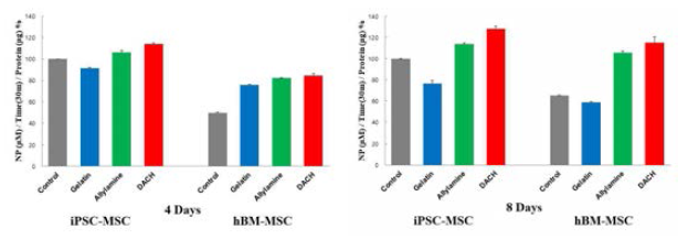 iPSCs-MSCs와 hBM-MSC의 ALP 활성결과 (4일, 8일)