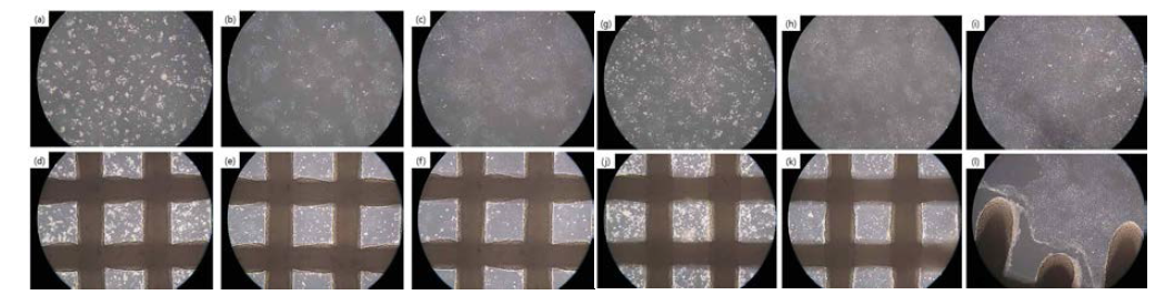 (a)부터 (f)는 8×105 세포를 싱글로 파종하였고, (g)부터 (l)은 8×105 세포를 싱글로 파종 시 ROCK inhibitor가 든 배지를 사용함. (a)에서 (c)와 (g)에서 (i)는 격자 외부, (d)에서 (f)와 (j)에서 (l)은 격자 내부임. (a,d,g,j) 1일, (b,e,h,k) 2일, (c,f,i,l), x100 배율로 촬영함