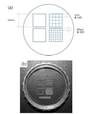 (a) 격자 디쉬 설계 도면, (b) 실제 3.5cm 디쉬 사진