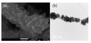 CNT/TiO2 mesocrystal 헤테로 나노구조체의 SEM(a)와 TEM(b) 이미지