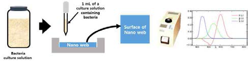 Schematic diagram of the bacteria detection method