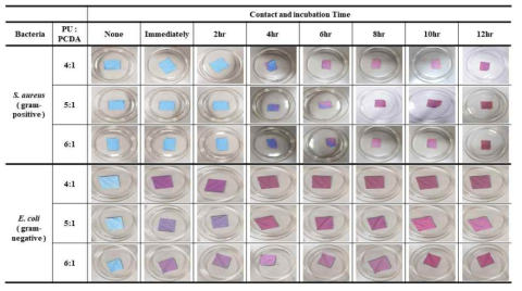 Color change of (a) of 1st layer nanoweb according to bacterial contact and incubation time