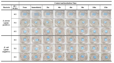 Color change of (b) of 2nd-layer nanoweb according to bacterial contact and incubation time