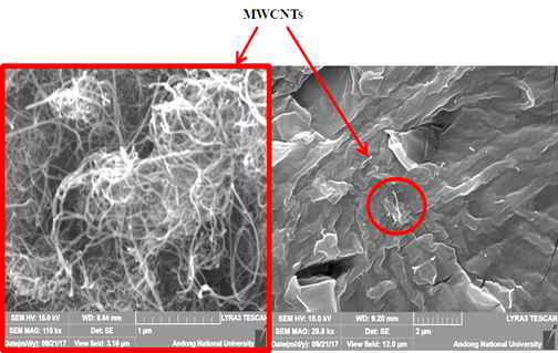 (a) Photographs of MWCNTs taken with FE-SEM, (b) FE-SEM photograph of the cross section of the pressure sensitive material