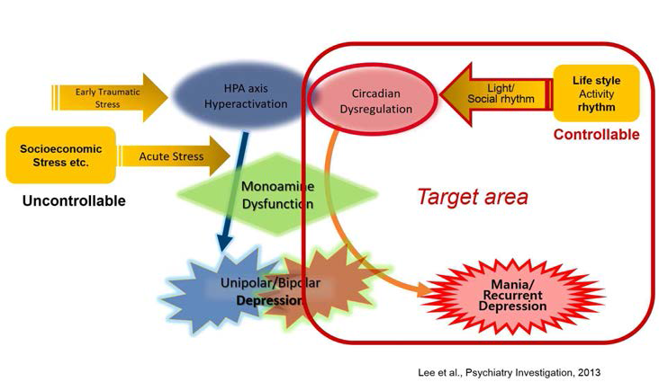 기존의 스트레스 취약성 중심의 기분장애 모델은 조증/경조증의 발생을 설명하지 못하며, 사회경제적 스트레스라는 문제를 의학적으로 조절할 수 없기 때문에 치료 및 예방 대책에 있어 한계를 가질 수밖에 없었음. 하지만, 본 연구자가 제시하는 Circadian Rhythm 모델은 의학자/의과학자로 하여금 생체리듬의 조절을 통하여 기분장애의 발생을 예측하고 효과적인 예방과 치료를 할 수 있는 새로운 혜안을 제공함
