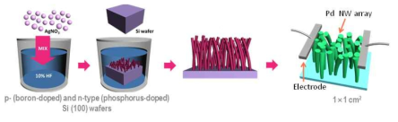 Pd-coated Si Nanowire Arrays 제조공정