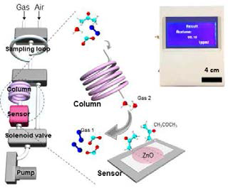 호기가스 분석 장치 개략도