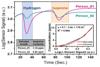 실험 참여자 2명의 호기 이소프렌 및 수소 검지 결과
