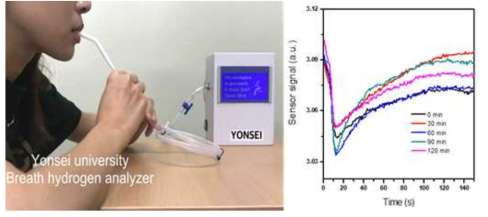 실험 참여자의 호기 분석과정 및 호기 수소검지 출력결과