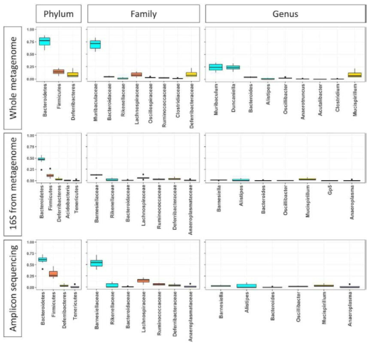 메타게놈, 메타게놈 데이터내의 16S rRNA, 앰플리콘 시퀀싱으로 얻어진 16S rRNA 서열로부터 예측된 쥐 장내미생물 구성