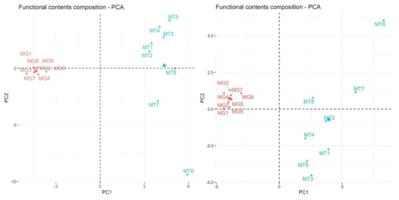 PCA분석 결과