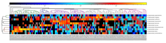 인간 장내 미생물 메타지놈 샘플(136개)의 Bacteroides속의 상대적 존재비