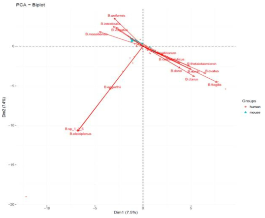 인간, 쥐 장내미생물 중 Bacteroides속 종 주성분 분석