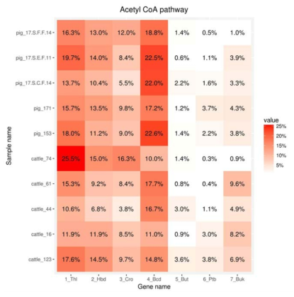 Acetyl-CoA 대사 경로(pathway)에 대한 Heatmap