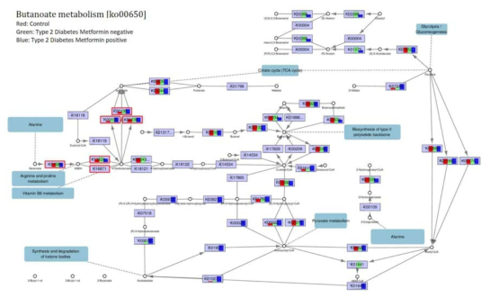 부티르산 대사(Butanoate metabolism)의 유전자 발현을 비교할 수 있는 그래프