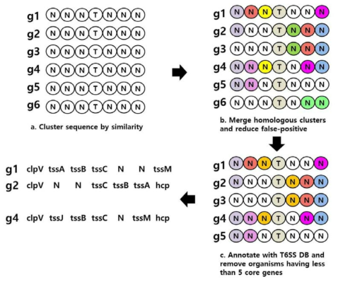 tssC-인접 유전자의 클러스터링과 필터링 단계의 도식화