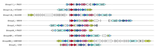 참조 유전체의 그룹 T6SS 1.1, 1.2a, 1.2b, 2, 3, 4A, 4B1, 4B2, 5 구조