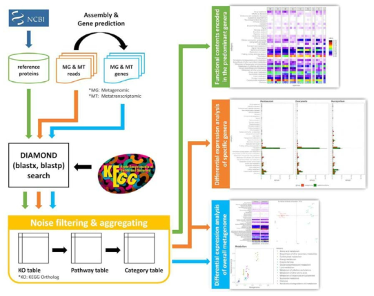 functional classification and analysis