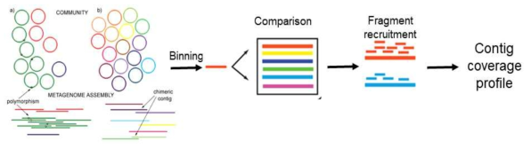 공생 미생물 유래 DNA를 이용한 CONTAGE 플랫폼의 활용 가능성 검토를 위한 metagenome sequencing 방법