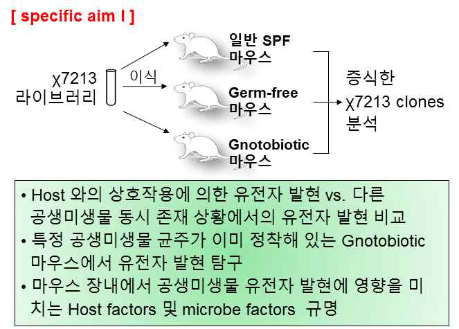 χ7213 library를 이용한 마우스 장내