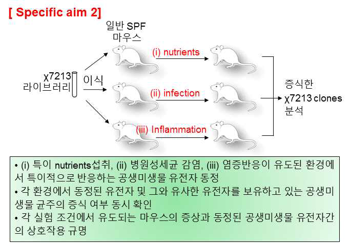 숙주 환경 특이적 공생미생물 유래 유전자 스크리닝