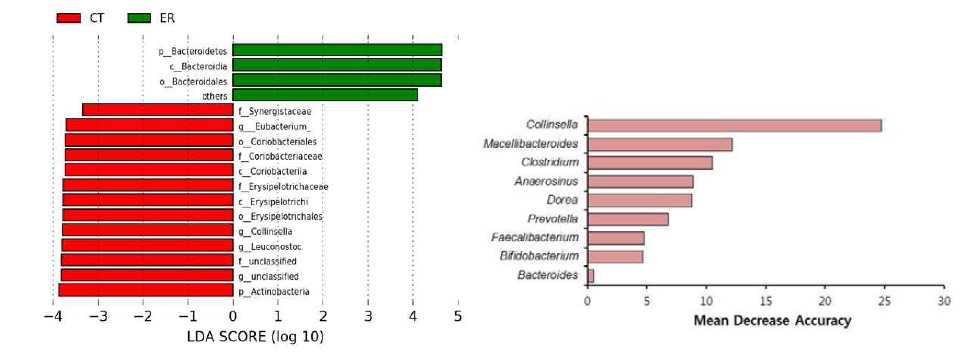 초기 류마티스관절염 환자의 분석 결과, 좌: LefSe, 우: random forest 분석 결과