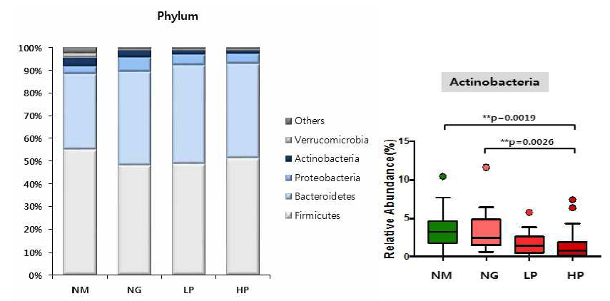 RF 레벨에 따른 류마티스관절염 환자의 장내 균총 분포 분석 – Phylum level