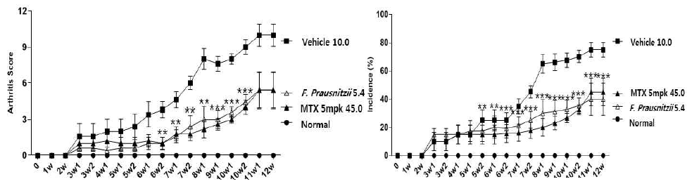 Faecalibacterium prausnitzii의 효능