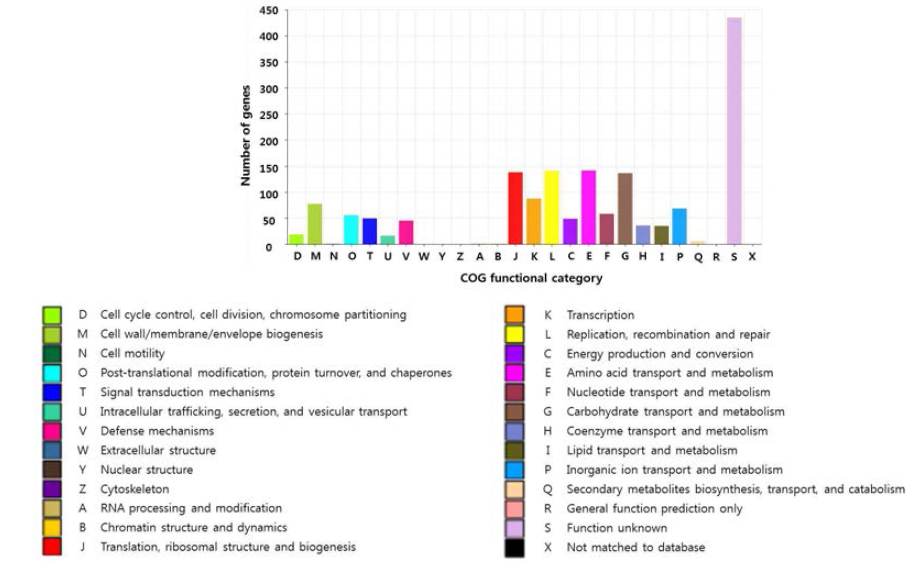 B. bifidum ATT genome의 functional category 분석 결과