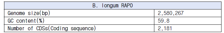 B. longum RAPO의 genome 기본 정보