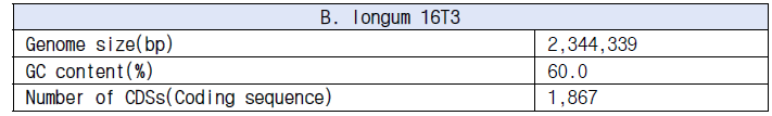 B. longum 16T3의 genome 기본 정보