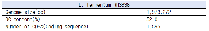 L. fermentum RH3838의 genome 기본 정보