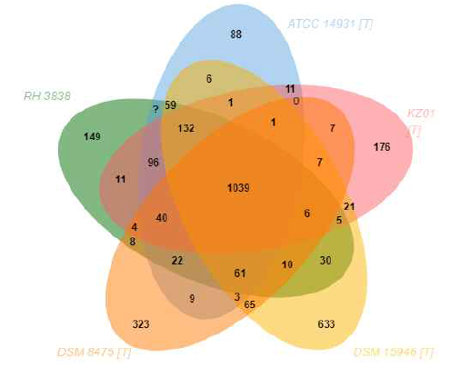 Comparative genomics 분석