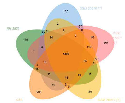 Comparative genomics 분석