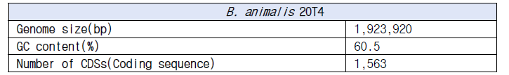 B. animalis 20T4의 genome 기본 정보