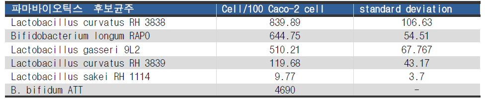 파마바이오틱스 후보균주의 장 세포 부착능 확인